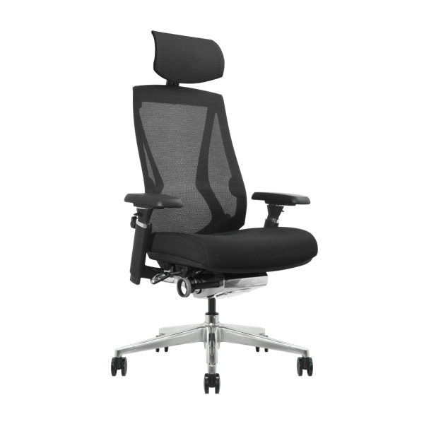 Arc Ergonomic Chair
