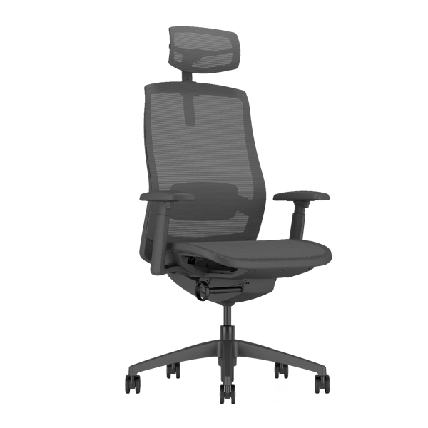 Sano Ergonomic Chair